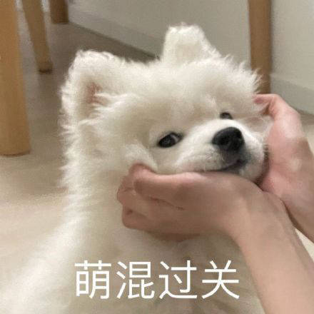 雙非大三，績(jī)點(diǎn)低，想去香港留學(xué)來得及嗎？怎么補(bǔ)救？