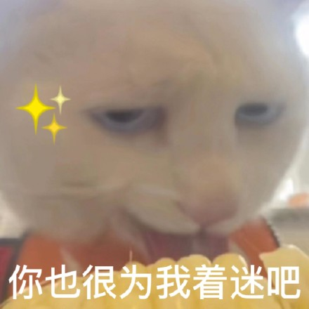 雙非大三，績(jī)點(diǎn)低，想去香港留學(xué)來得及嗎？怎么補(bǔ)救？