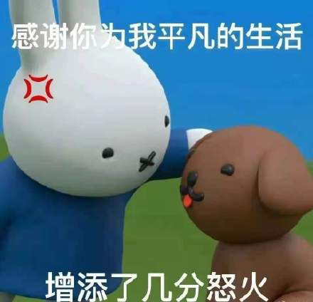 為什么不建議家境普通的學(xué)生讀商科？