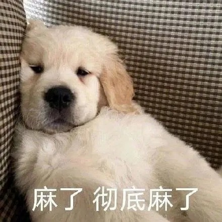 留學(xué)生10大最難學(xué)專業(yè)，金融竟然是最后一名？