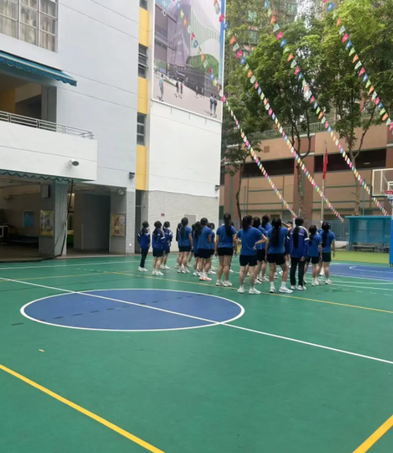 想去香港沙田區(qū)讀中學(xué)，該怎么選學(xué)校？